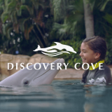 Discovery Cove logo and a girl swims with a dolphin in background