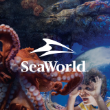 The SeaWorld logo over a picture of a boy staring at a pink octopus in an aquarium