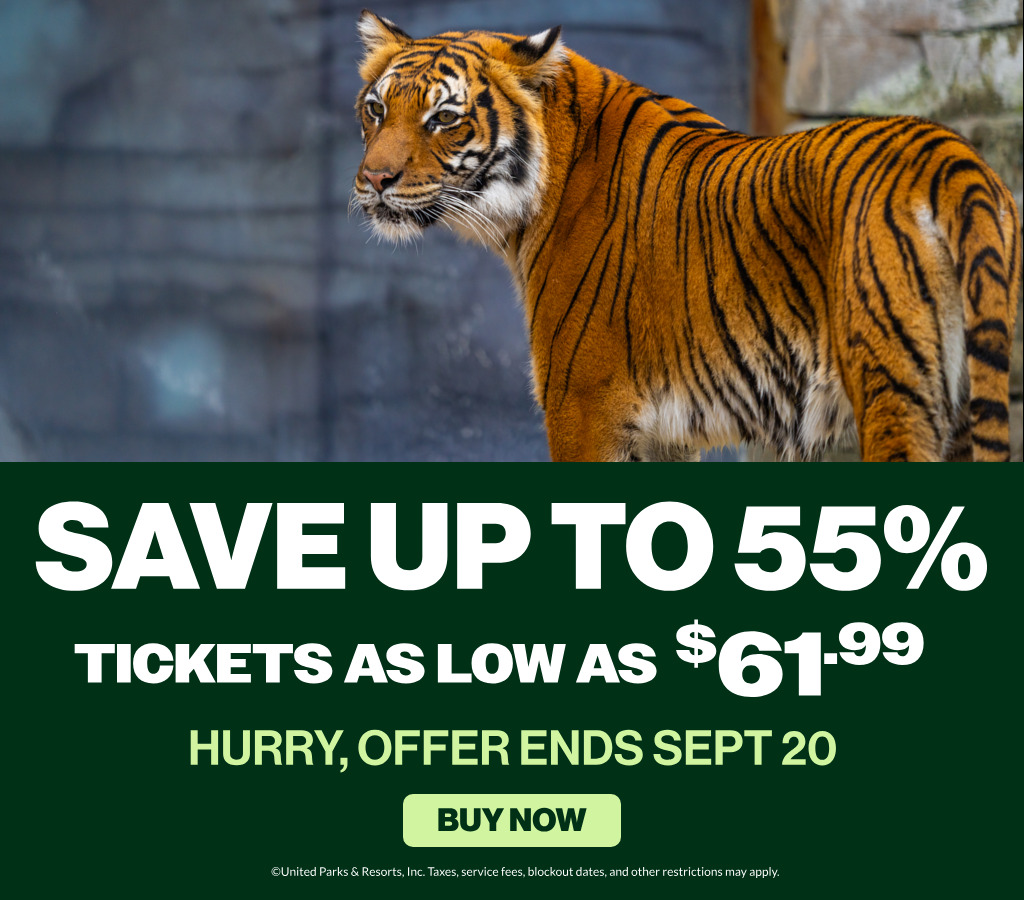 Save up to 55% | Tickets as low as $61.99
