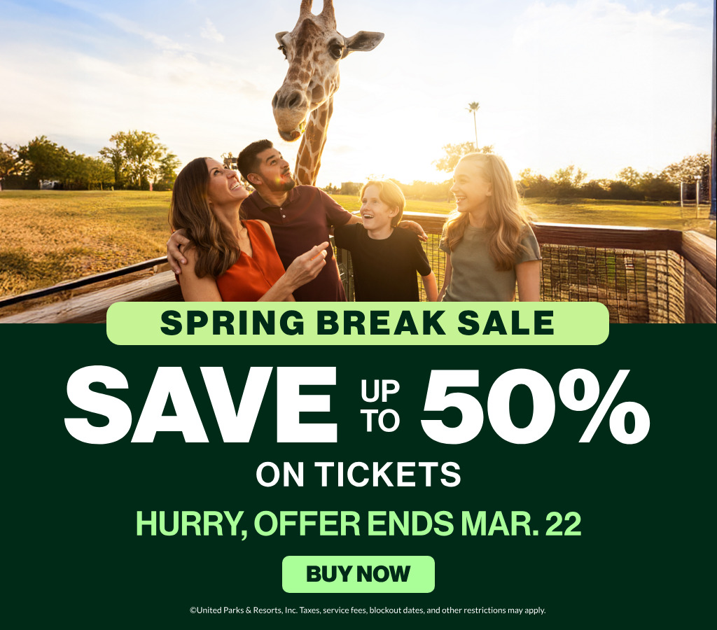 Save up to 50% on Tickets