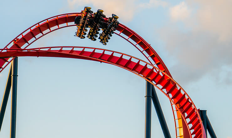 Ride SheiKra at Busch Gardens Tampa Bay