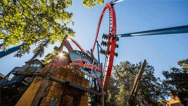 Ride SheiKra at Busch Gardens Tampa Bay