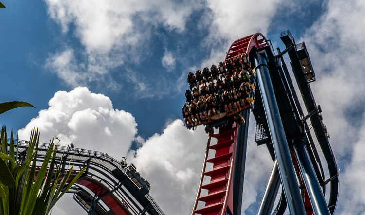 Sheikra Vertical Drop