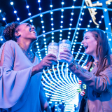 Holiday light tunnel at Busch Gardens Tampa Bay Christmas Town