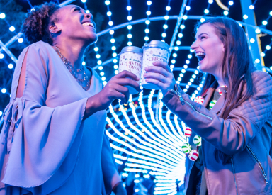 Holiday light tunnel at Busch Gardens Tampa Bay Christmas Town