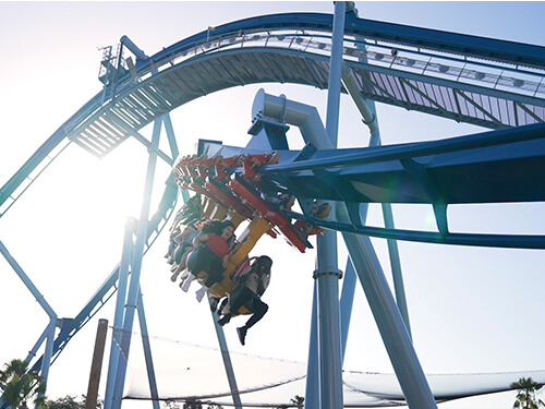 Busch Gardens Tampa Bay Phoenix Rising