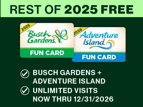Rest of 2025 Free
