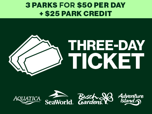 Multi-Day Ticket