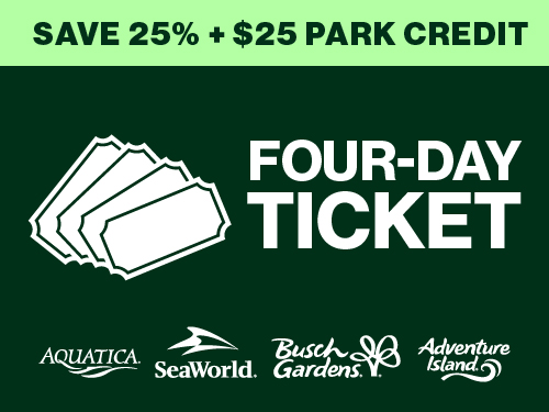 Multi-Day Ticket