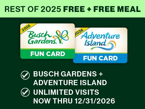 Free Meal with Fun Card Purchase