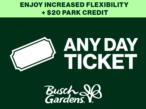 Any Day Ticket