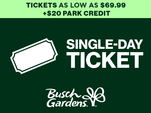 Single-Day Ticket