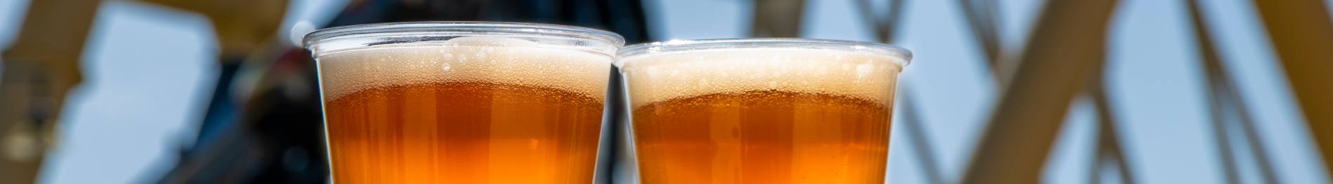 Free Beer is back at Busch Gardens Tampa Bay.