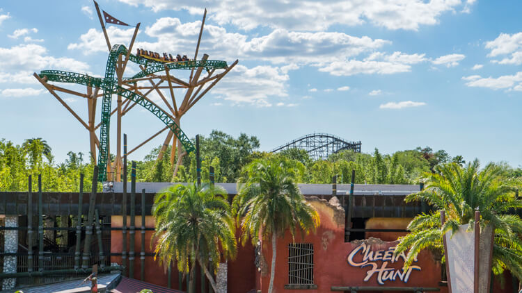 Ride Cheetah Hunt at Busch Gardens Tampa Bay