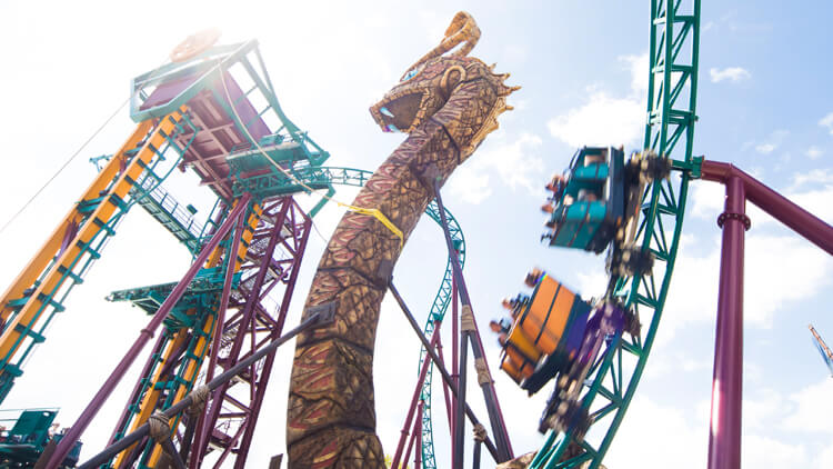 Ride Cobra's Curse at Busch Gardens Tampa Bay