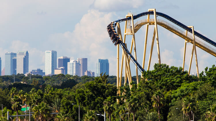 Ride Montu at Busch Gardens Tampa Bay
