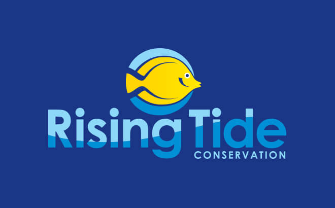 Rising Tide Conservation Fund at Busch Gardens Tampa Bay