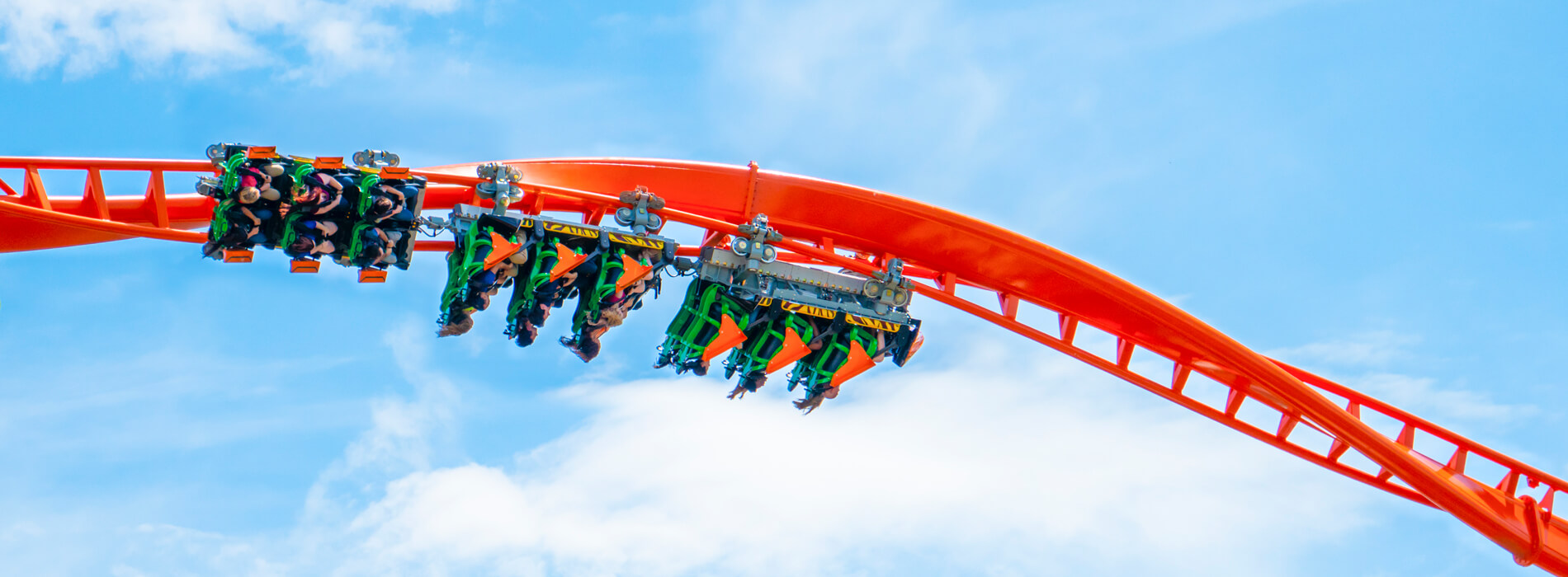 An orange and black roller coaster called Tigris, located at Busch Gardens Tampa Bay, located in Florida