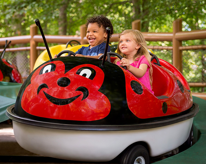 Lady Bug