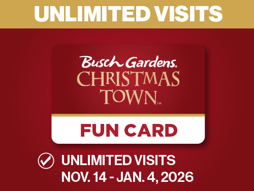 Christmas Town Fun Card
