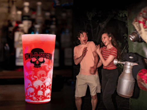 Busch Gardens Williamsburg Howl-O-Scream 1-Time Quick Queue + Souvenir Cocktail
