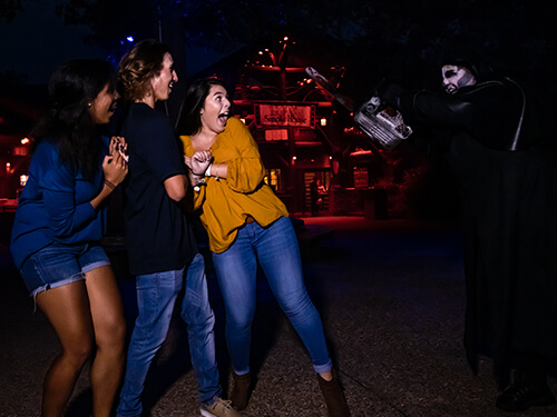 Busch Gardens Williamsburg Behind the Screams Tour