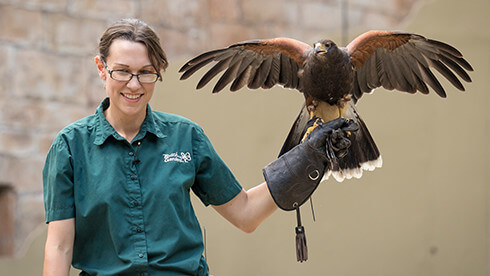 Meet our Animal Ambassadors at Busch Gardens