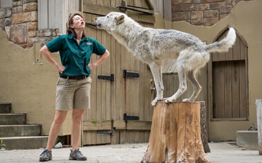 Virginia summer camps at Busch Gardens for ages 12 - 13